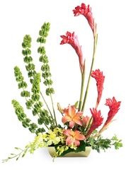 Touch of Tropics Arrangement from Flowers by Ramon of Lawton, OK